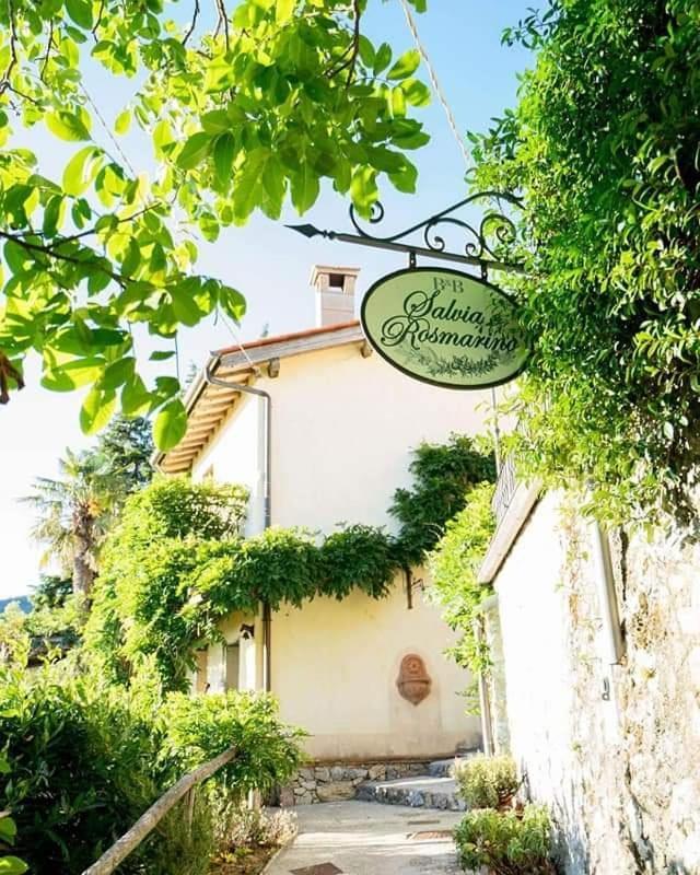 カマイオーレ Salvia E Rosmarino Bed & Breakfast エクステリア 写真